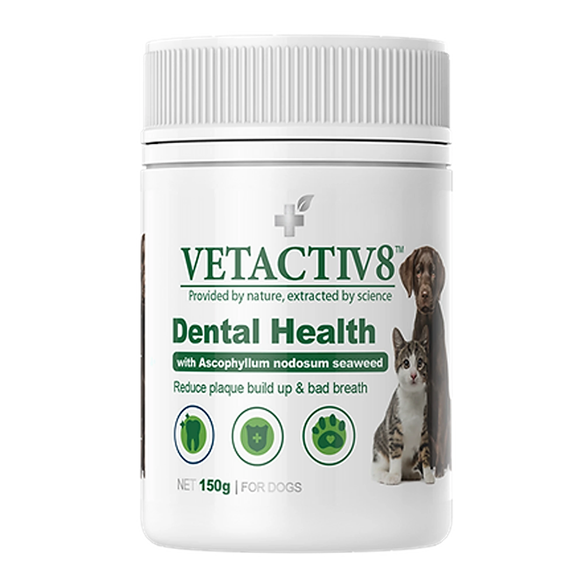 VETACTIV8 Dental Health 150g